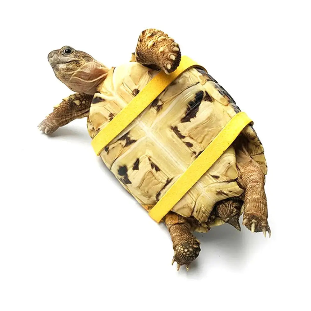 Pet Training Leash Gerbil Cage Cotton Rope Harness Collar Hamster Turtle Lizard Traction Rope Small Pet Supplies Random Color