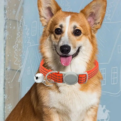 Pet Collar Dog Leash Breakaway with Bell for Training  Breathable Reflective Lightweight Nicely Designed